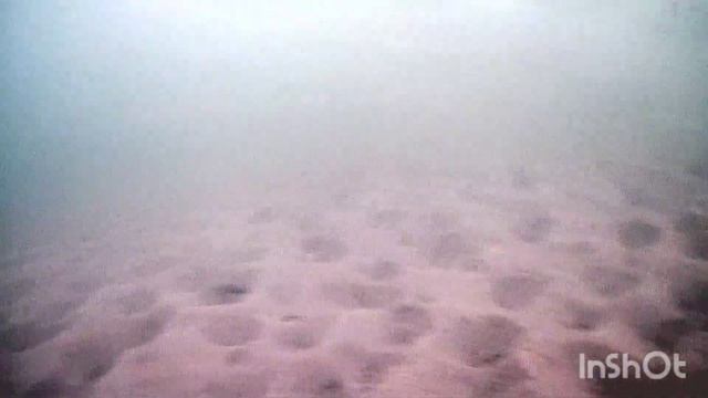 Протока реки Обь, съёмки с камеры FocusFish 2023