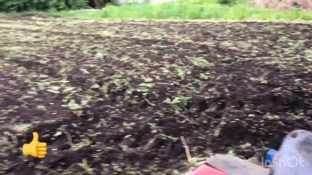 Работа фрезы по густой траве.. смотреть онлайн