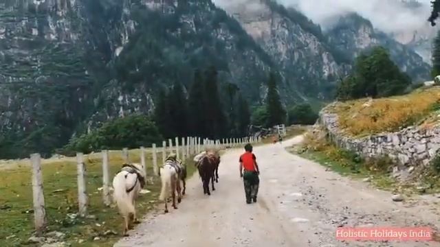 Hamta Pass: The passage to heaven For Locals! смотреть онлайн