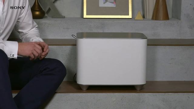SWF BR100 Wireless Sub Woofer from Sony смотреть онлайн