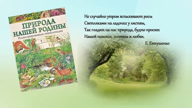 Виртуальная выставка «И вечная природы красота» смотреть онлайн