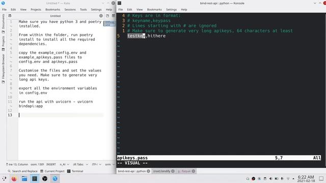 Demo of setting up bind-rest-api project смотреть онлайн