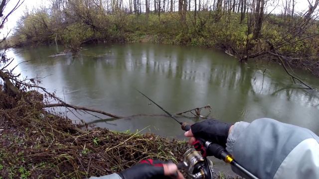 Голавль поздней осенью смотреть онлайн