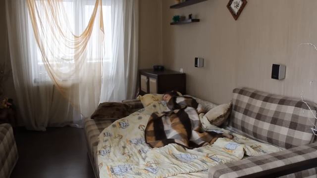 миниVLOG IVI_Flou: Как мы ложимся спать и почему не высыпаемся////Фууу..Тимааа!!) смотреть онлайн