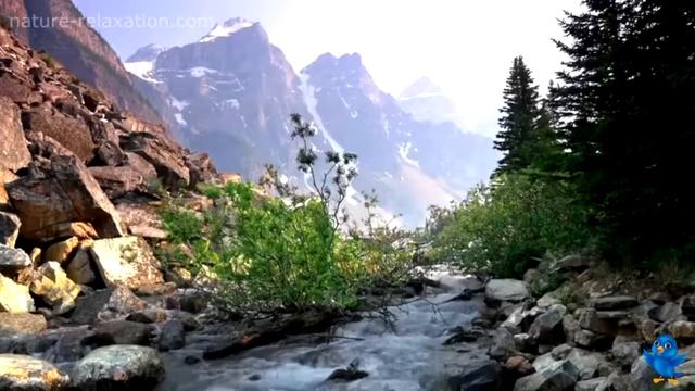 Listen And Learn 100% TNPSC Notes