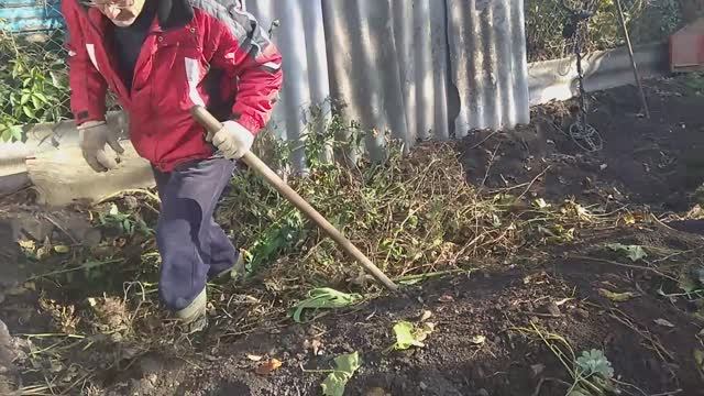 Теплые грядки осенью. Когда и как готовить теплую грядку. смотреть онлайн