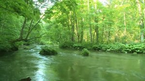 Джаз для фортепиано/ Саксофон / Расслабляющая Шикарная музыка