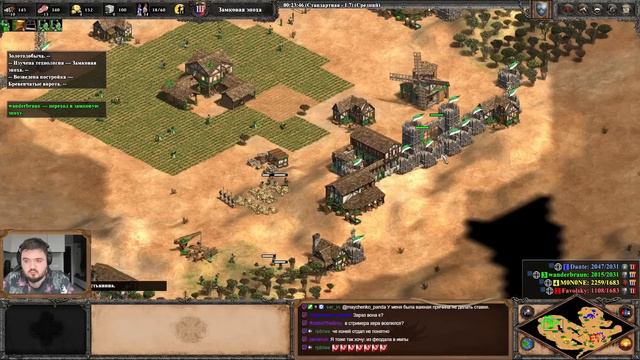 Wanderbraun рейдит до победного! Age Of Empires 2 2x2.