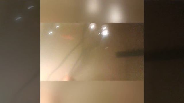 Золотые рыбки и данио рерио смотреть онлайн