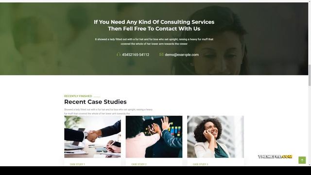 Suzukawa - Consulting Business WordPress Theme смотреть онлайн