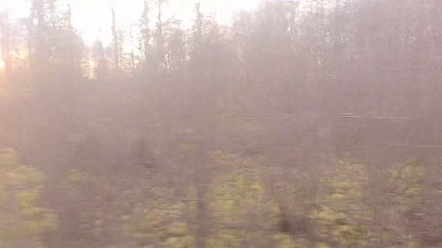 Череповец | Поездка на автобусе МАЗ-107.466 (К442ТР_35; 0255) | Маршрут 216 смотреть онлайн