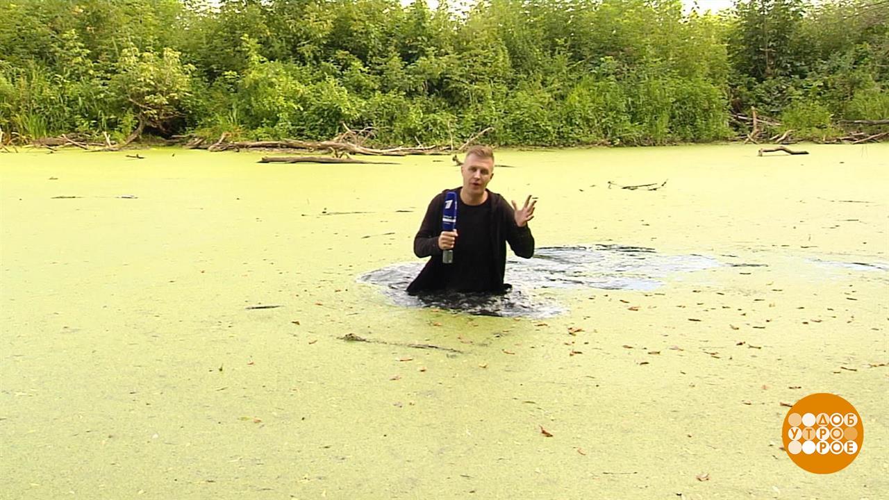Ильин день. Доброе утро. Фрагмент выпуска от 02.08.2019 смотреть онлайн