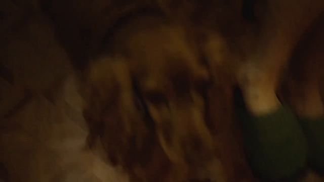 Конкурс «Мастера Гостеприимства 2020-2021». Афонькина Дарья смотреть онлайн