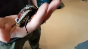 Рептилиум 2017. Побывала на интересной выставке террариумных животных 07.10.17.