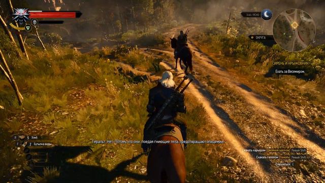 Размышления о гулях