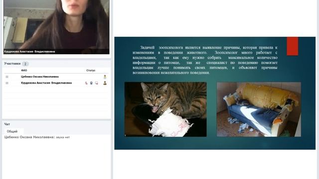 Зоопсихология: Чем зоопсихолог отличается от кинолога смотреть онлайн