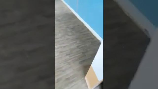 укладка Линолеума под плинтус. школа смотреть онлайн