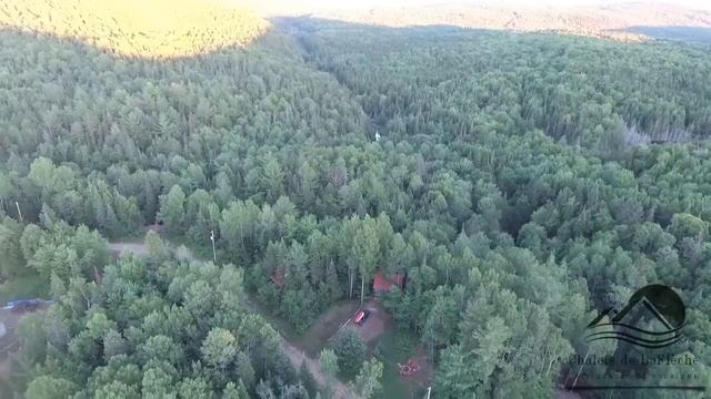 cdlf смотреть онлайн