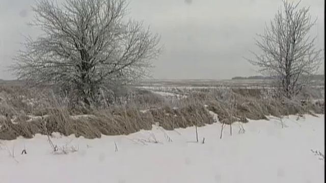 Орловская область Сказки русского леса (1476 - архив Маруси) смотреть онлайн