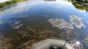 СТАВИМ ЛЕТНИЕ ЖЕРЛИЦЫ. ЕСТЬ СРАБОТКИ.