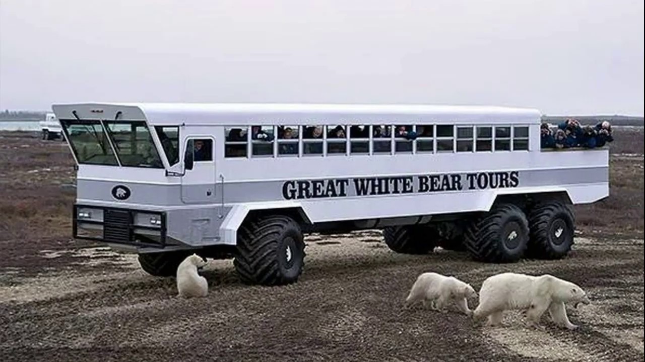 МОНСТРЫ БЕЗДОРОЖЬЯ | ЛЕГЕНДЫ СОВЕТСКОГО ЕВРОПЕЙСКОГО АВТОПРОМА | НЕВЕРОЯТНО КРУТЫЕ АВТОБУСЫ смотреть онлайн