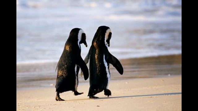 Мама - первое слово... смотреть онлайн