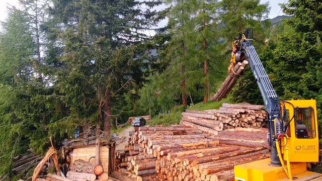 Koller K307 GH bei Forstservice Eberhardt im Einsatz смотреть онлайн