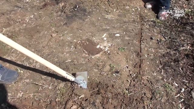 Чем обрабатывать почву Новинка Ручной культиватор Грач смотреть онлайн