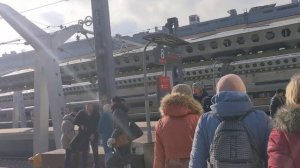 Московский вокзал. Санкт-Петербурга. обзор поездов