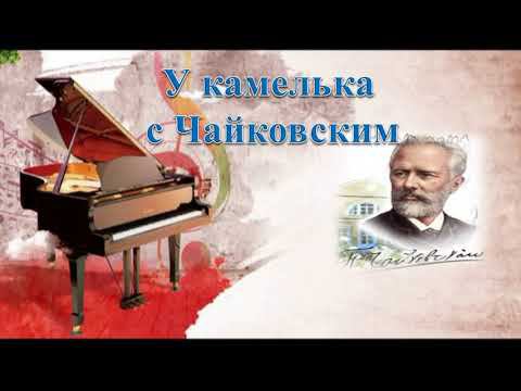 У камелька с Чайковским смотреть онлайн