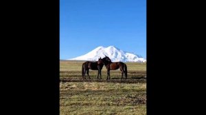 Старинная абазинская песня "Сара сбзибара"  - ("Моя любовь").