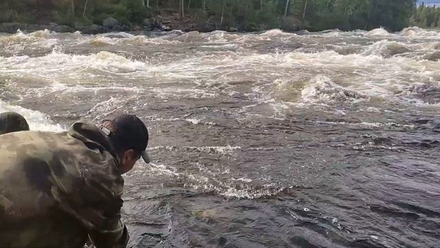 ЛОВИМ КРАСНУЮ РЫБУ РУКАМИ! ТОННЫ РЫБ! ЧАСТЬ 2 ! ТАКОГО ВЫ ТОЧНО НЕ ВИДЕЛИ! СВОИМИ РУКАМИ! ЛОСОСЬ смотреть онлайн