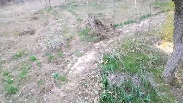 Садовые новинки / Стартуем дачный сезон 23 года смотреть онлайн