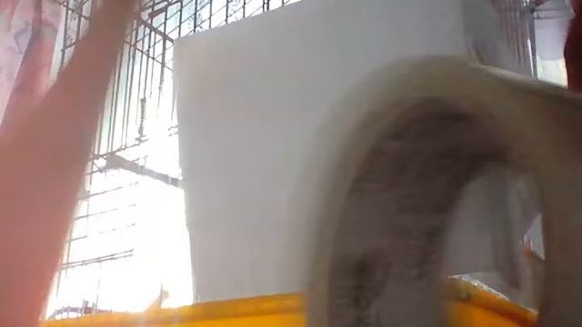Что делать если птица или попугай мусорят смотреть онлайн