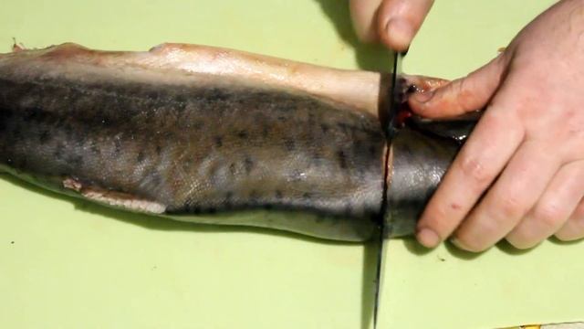 Делай Сам для Души