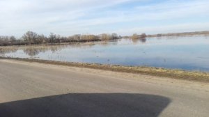 Половодье в Воронежской области. 8 апреля 2018. Вода прибывает. Разлив реки Усманка.