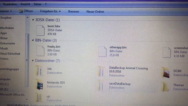 Tutorial: Animal Crossing New Leaf Recover your Save Data смотреть онлайн