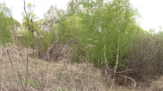 Металлокоп место стоянки техники! смотреть онлайн