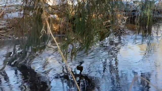 Вот и долгожданная Весна!!! Прогулка по парку. смотреть онлайн