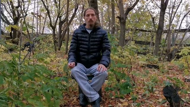 Раннее развитие детей. Увлечения детей. Подсознательные желания родителей. смотреть онлайн