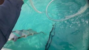 Как быстро и просто слить воду из бассейна без насоса