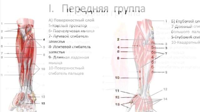 Тренируемся Правильно ✊🏻 смотреть онлайн