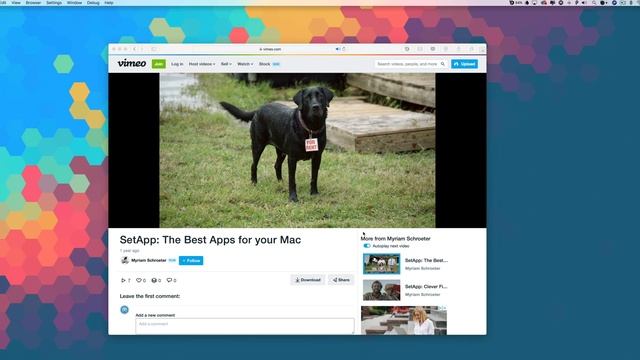 Handy Video Downloader For Mac | SETAPP