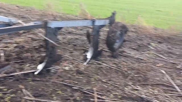 Пахота по соняшнику смотреть онлайн