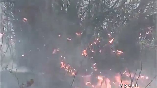 24 часа 06 04 2016 Противопожарная безопасность по отжигу стерни смотреть онлайн