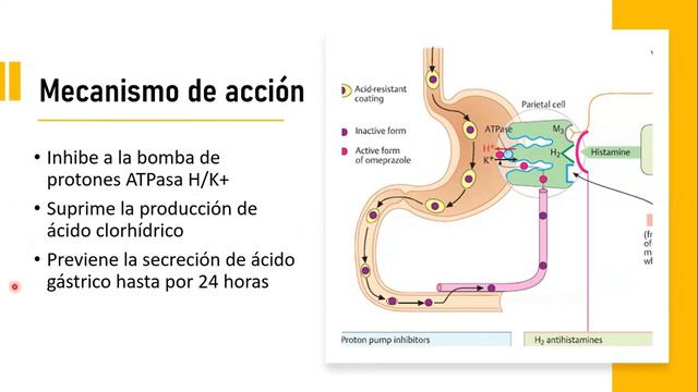 🔴 ESOMEPRAZOL | PARA QUÉ SIRVE, EFECTOS SECUNDARIOS, MECANISMO DE ACCIÓN Y CONTRAINDICACIONES