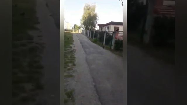 Какой "порядок" в беларуси на самом деле. смотреть онлайн