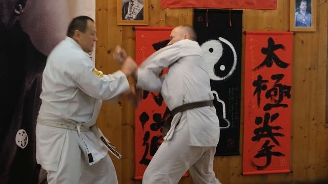 BUDO ACADEMY 51 SHEPKIN LEONID 7 DAN GOJU RYU смотреть онлайн