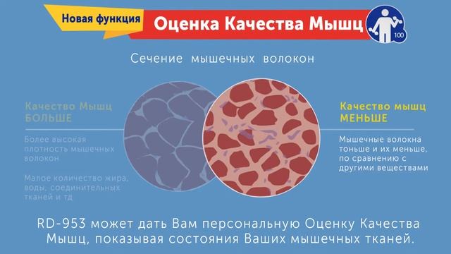 Анализатор состава тела Tanita RD-953 смотреть онлайн