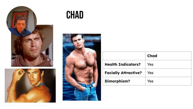 Pretty Boy Vs Chad Vs Hyper Masculine: What do Truly Women Desire? смотреть онлайн